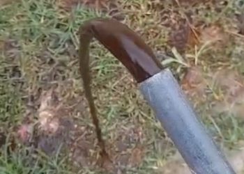 ‘Acho que é café’: proprietários de residência denunciam Saerb, após receberem água preta e com mau cheiro