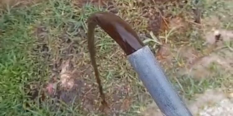 ‘Acho que é café’: proprietários de residência denunciam Saerb, após receberem água preta e com mau cheiro