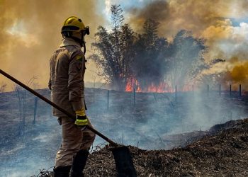 No Acre, governo cria projeto que visa reduzir o desmatamento em 10% ao ano até 2027