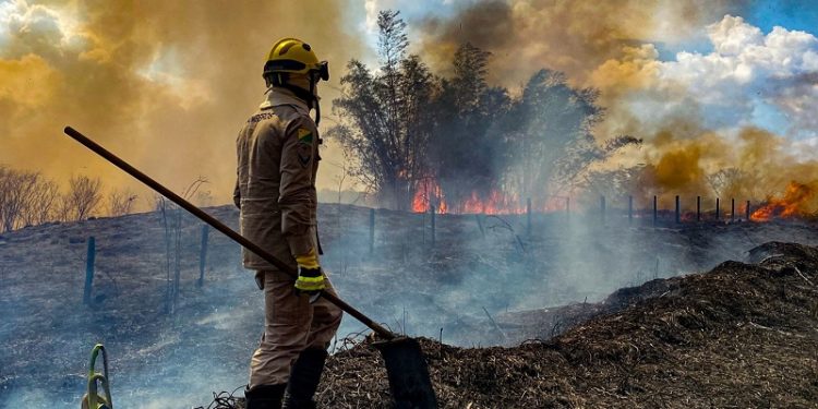 No Acre, governo cria projeto que visa reduzir o desmatamento em 10% ao ano até 2027