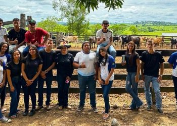 Ieptec prevê aberturas de vagas em diversos cursos para estudantes do ensino médio em 2024