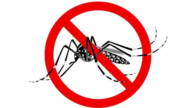 Situação de emergência é decretada no Acre após aumento no número de casos de dengue