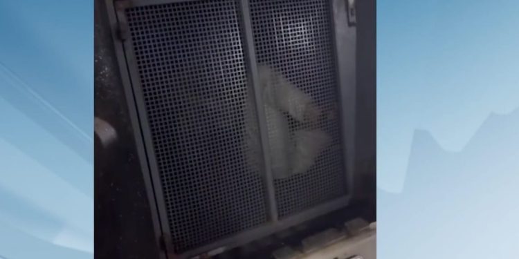 MPAC deve apurar caso de homem que morreu em viatura policial após pedido dos familiares