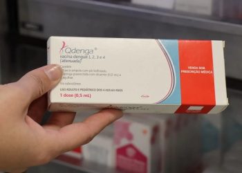 Qdenga: mais de 700 mil doses da vacina contra dengue chegam ao Brasil pelo SUS