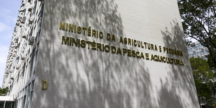 Ministério da Pesca e Aquicultura anuncia concurso com quase 300 vagas; confira