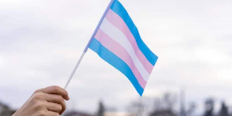 Cerca de 90% das pessoas trans não conseguem trabalho formal no Acre, aponta pesquisa