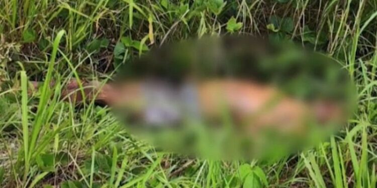 Cerca de 65% das vítimas fatais em acidente de trânsito no Acre em 2023 são motociclistas