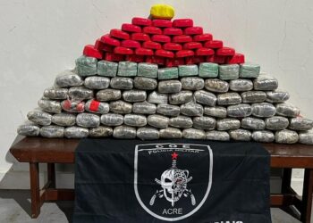 Em ação conjunta, forças de segurança apreendem 95 kg de drogas no interior do Acre