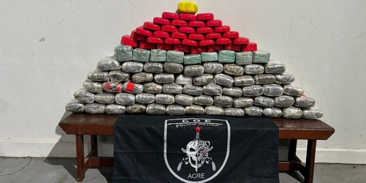 Em ação conjunta, forças de segurança apreendem 95 kg de drogas no interior do Acre