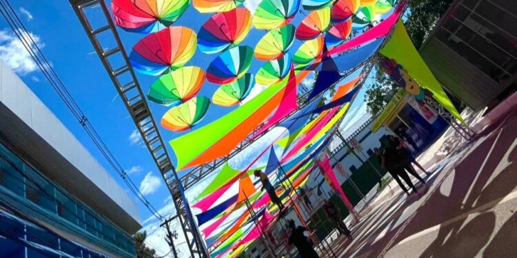 Após duas décadas, TV Gazeta volta a realizar cobertura do carnaval na Praça da Revolução
