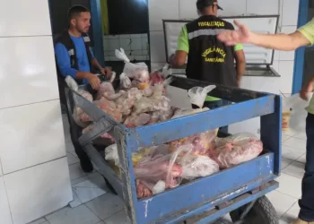 Cerca de 170 kg de carne imprópria para consumo foi apreendida em cozinha industrial de empresa no Acre