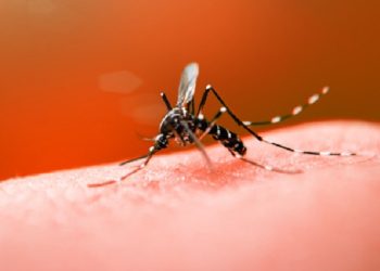 Ministério da Saúde anuncia centro de emergência para conter epidemia de dengue