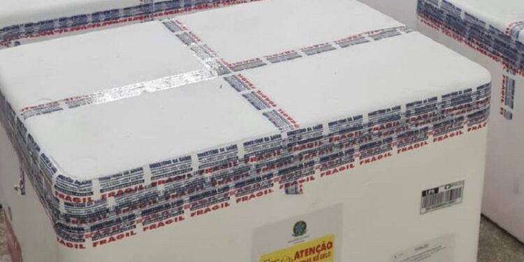 Saúde do Acre recebe primeiras doses da Qdenga e inicia distribuição; veja municípios contemplados