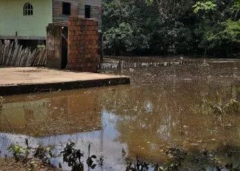 Confira prevenções contra contaminação por leptospirose no período pós-enchente no Acre