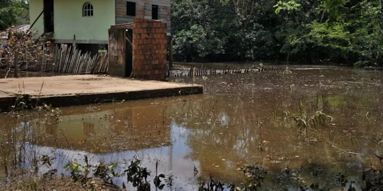 Confira prevenções contra contaminação por leptospirose no período pós-enchente no Acre