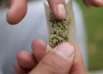 STF retoma em 6 de março julgamento que decide se porte de drogas para uso pessoal é crime