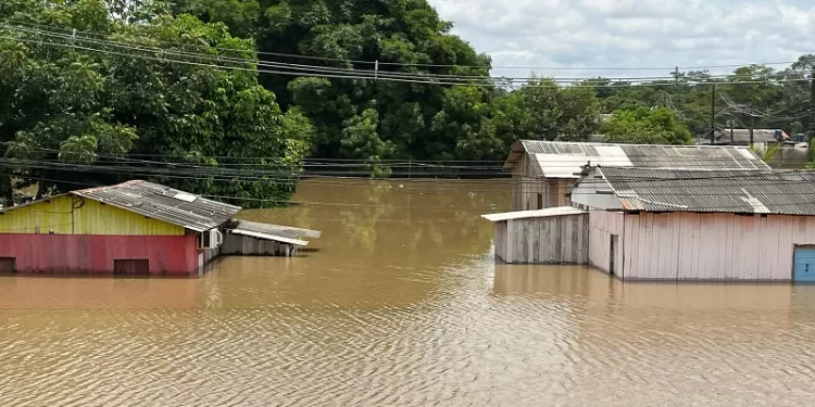 Rio Acre apresenta sinais de estabilidade e mantém 17,78 metros há seis horas, em Rio Branco
