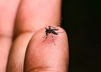 No Acre, casos de dengue em 2024 quase triplicam em relação ao mesmo período de 2023; veja