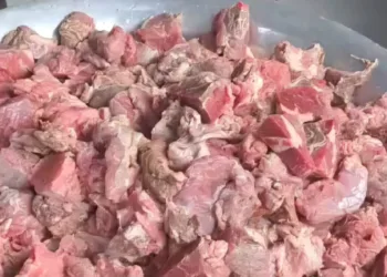 Diretora do Cean afirma que SEE estava ciente da má qualidade da carne