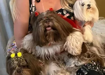 “Poderia ter sido evitado’, diz tutora que perdeu dois cachorros em hotel ‘pet’ de Rio Branco