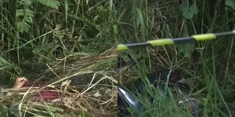 Tio e sobrinho são encontrados mortos em rodovia no interior do Acre