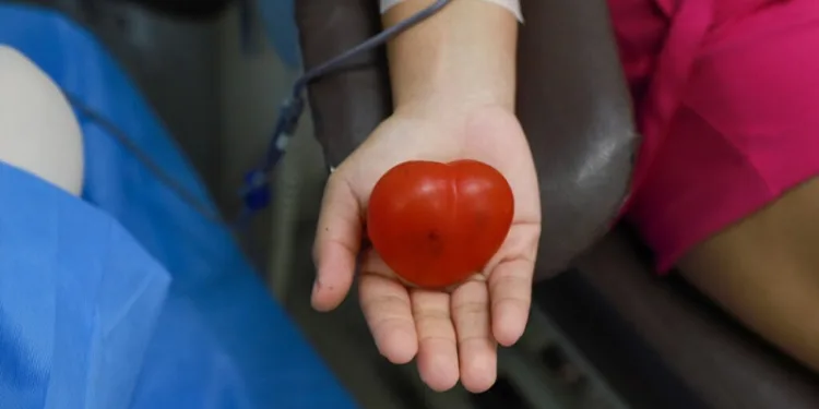 Em Rio Branco, Hemoacre realiza ‘Arraiá do Doador de Sangue’ nesta sexta-feira