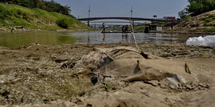 Chuvas em Rio Branco diminuíram pela metade em comparação ao mesmo período de 2023