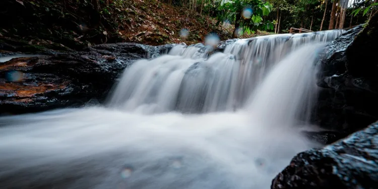Complexo de cachoeiras é descoberto em trilha a 100 km de Rio Branco; conheça