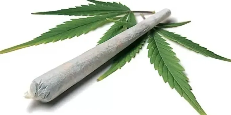 Quantidade de maconha vai diferenciar uso pessoal e tráfico