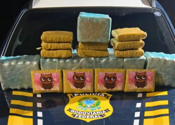 Mais de 30 kg de drogas são apreendidos dentro de ônibus coletivo em Rio Branco