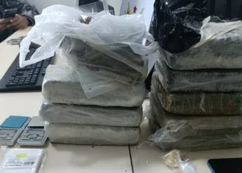 Quase 10 kg de drogas são apreendidas pela PMAC durante patrulha em Rio Branco