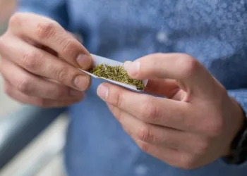 STF forma maioria para descriminalizar porte de maconha para uso pessoal no Brasil