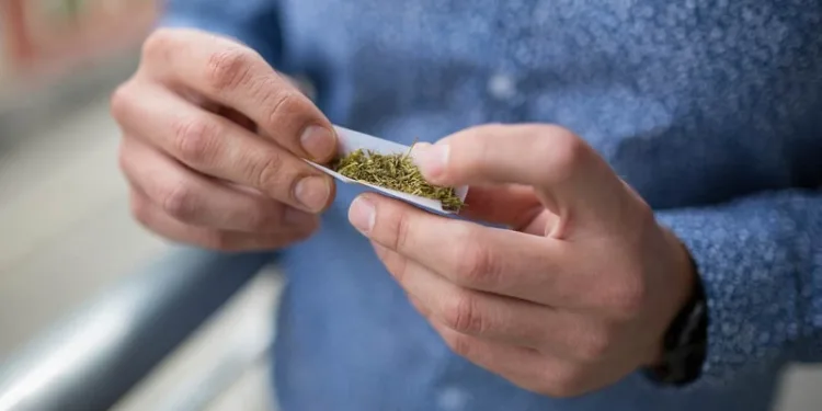 STF forma maioria para descriminalizar porte de maconha para uso pessoal no Brasil