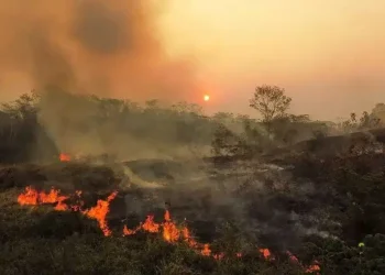 Governo Federal autoriza uso da Força Nacional de Segurança Pública para enfrentar incêndios em Feijó