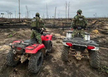 Operação Smoke: PF prende responsável por desmatar e incendiar 953 hectares em gleba pública da União