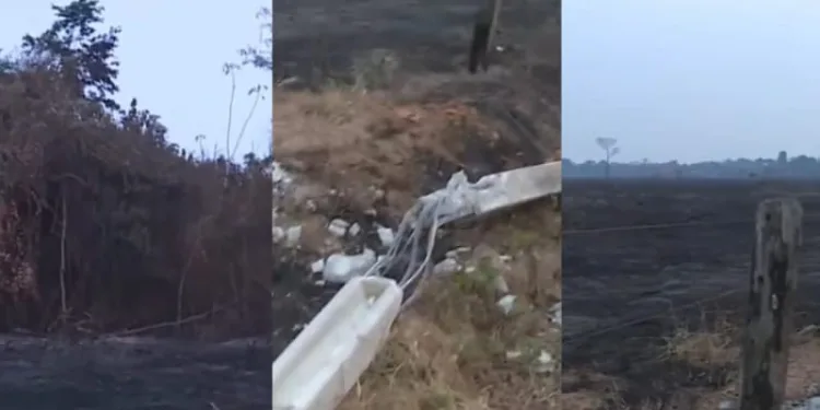 Incêndio atinge ramal do Benfica e causa destruição em centenas de hectares