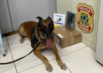 Cão farejador da Polícia Federal no Acre se aposenta após sete anos de serviço