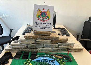 Mais de 15 kg de entorpecentes e arma de fogo foram apreendidas na Transacreana