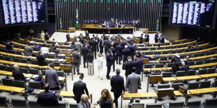 Câmara aprova projeto que amplia direito da pessoa com deficiência a ingressar em locais com cão de assistência