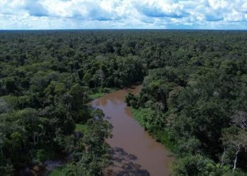 Conferência estadual de meio ambiente será realizada em março de 2025 no Acre