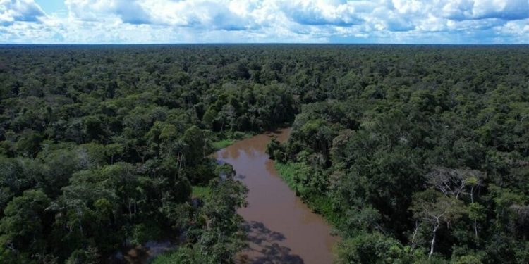 Conferência estadual de meio ambiente será realizada em março de 2025 no Acre
