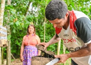 Cultura de criação de abelhas sem ferrão garante destaque à produtora acreana em concurso nacional