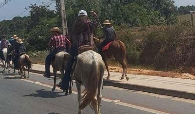 MPAC ajuíza ação civil pública por maus-tratos a animais na Cavalgada da Expoacre Juruá 2024