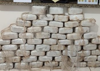 Em Cruzeiro do Sul, mais de 70 kg de drogas são apreendidos pela polícia em ação conjunta