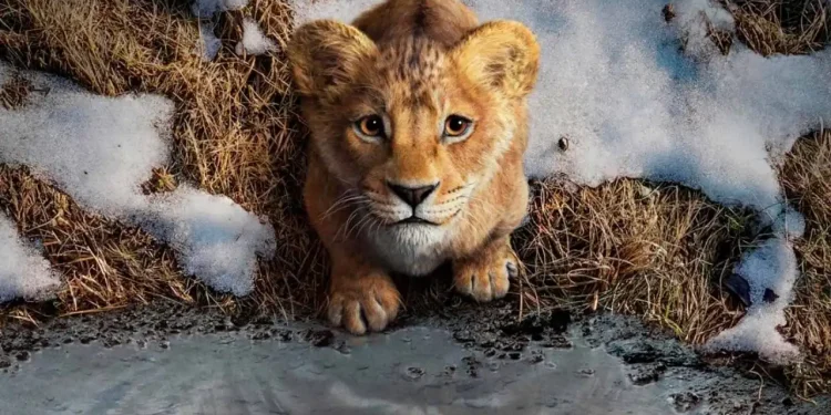 Mufasa: O Rei Leão; o que você precisa saber sobre o novo campeão de bilheteria nos cinemas