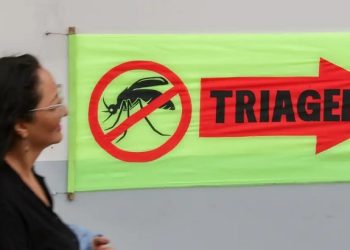 Entenda o que são sorotipos da dengue e por que o tipo 3 preocupa