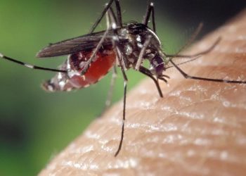 Situação de emergência é oficializada devido aumento nos casos de dengue no Acre