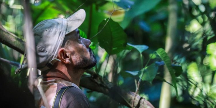 Acre como refúgio de espécies únicas; jornada de Ricardo Plácido para proteger o invisível