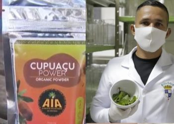 Após sucesso de tacacá em pó, empresa acreana lança açaí e cupuaçu em pó