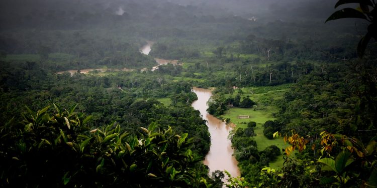Funai restringe acesso ao Parque Estadual do Chandless para proteger indígenas isolados